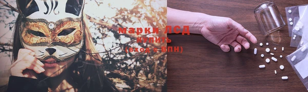 дурь Гусиноозёрск