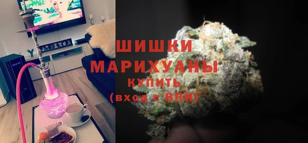 дурь Гусиноозёрск