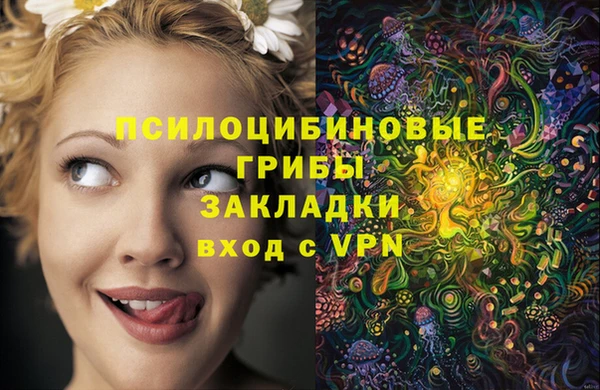 mix Гусев