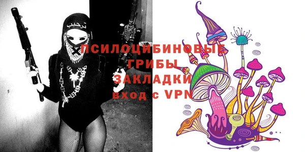 дурь Гусиноозёрск