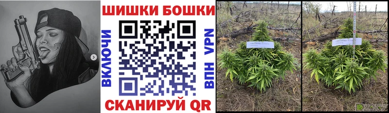 Купить  Облучье  Шишки марихуана LSD WEED 